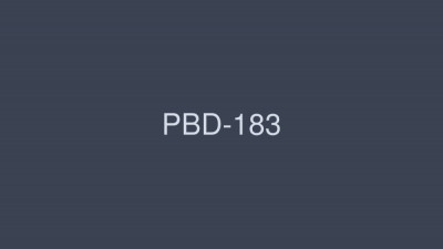 PBD-183 BEST OF PREMIUM 2012 6 Discs 88 Titles 24 Hours